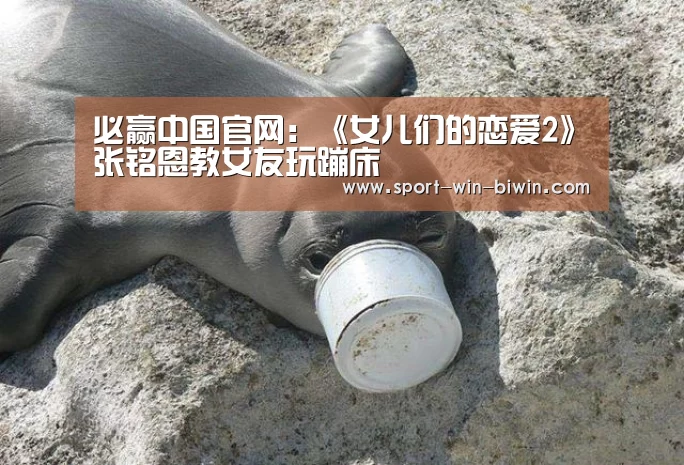 必赢中国官网